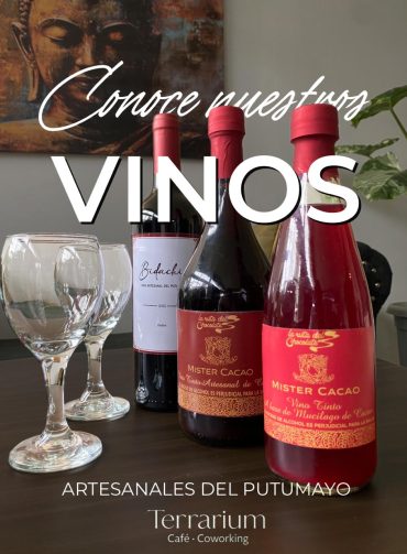 506332993_122115507920872467_2963700950794267726_n