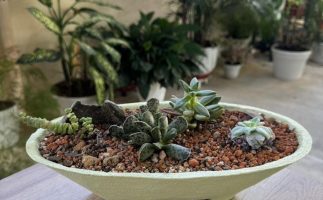 581444331_122148550634872467_7549105049503332511_n