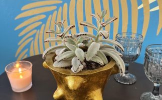 631045863_122161875464872467_2631642611539302040_n