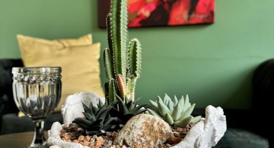 632931175_122161875542872467_7739679806361751536_n